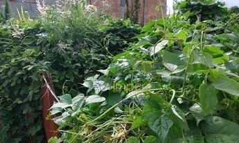 Imagem 3: Terreno à venda, 250 m² por R$ 65.000,00 - Jardim Santa Maria - São José dos Campos/SP