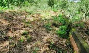 Imagem 5: Terreno para Venda em Campo Grande, Jardim das Perdizes
