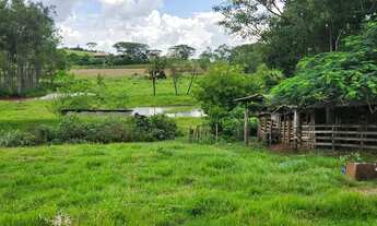 Imagem 4: Chacara 2alqueres em Alfredo marcondes