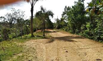 Imagem 4: Sítio no Rio preto da eva