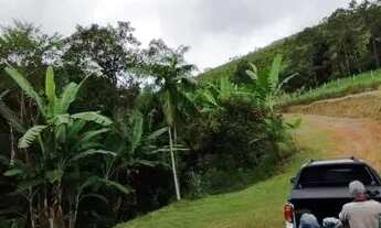 Imagem: Sítio em Miracatu