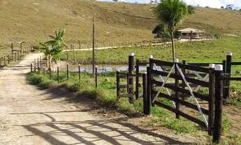 Imagem 4: Terra com Casa e Lavoura de Café