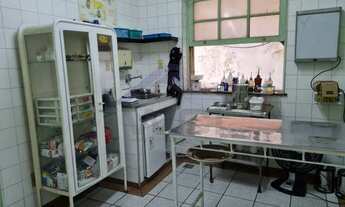 Imagem 6: VENDA OU LOCAÇÃO, CASA COMERCIAL OU RESIDENCIAL, JARDIM BOTÂNICO