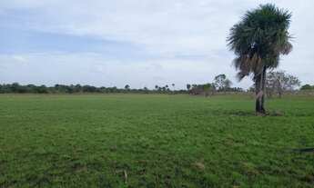 Imagem 2: Vende uma Excelente área rural