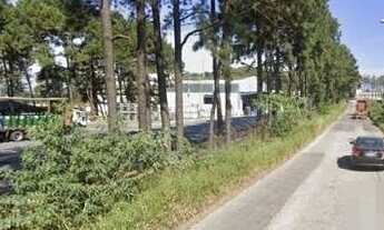 Imagem 7: Rua Frank Perkins