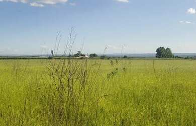Imagem 6: Oportunidade vendo excelentes chacara no lago oeste 3.5 hectares