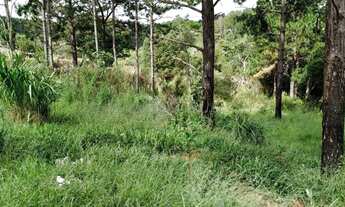 Imagem 6: COD.5731 - IBIÚNA, EXCELENTE TERRENO PARA PONTO COMERCIAL!