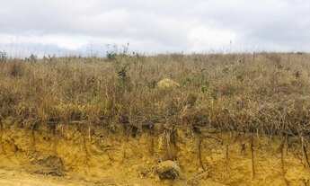 Imagem 4: U40- Terrenos plainos em Nazaré