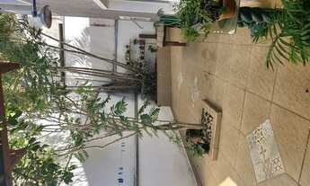 Imagem 3: Casa para venda possui 221 metros quadrados com 3 quartos em Vila Votocel - Votorantim - S