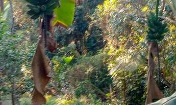 Imagem 5: Sítio em Silva Jardim