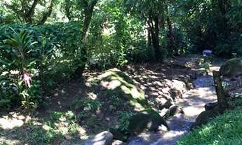 Imagem 7: Caneca Fina - Guapimirim - RJ