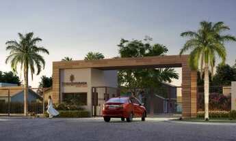 Imagem 2: Lote Terra Dourada