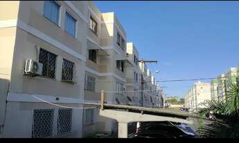 Imagem 1: Eucalipto, Cerejeiras