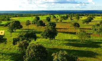 Imagem: FAZENDA À VENDA EM APARECIDA DO RIO NEGRO