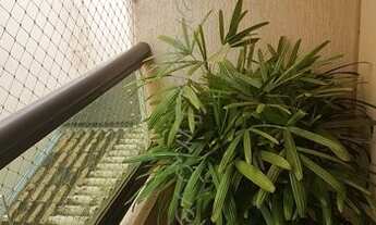 Imagem 5: Apartamento 3 dormitórios à Venda