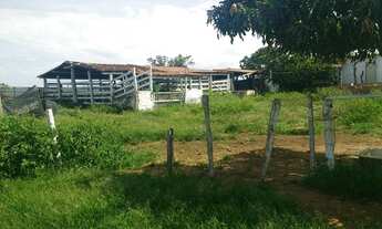 Imagem 2: Oportunidade! Vendo excelente fazenda com 78 hectares a 10 km Planaltina DF