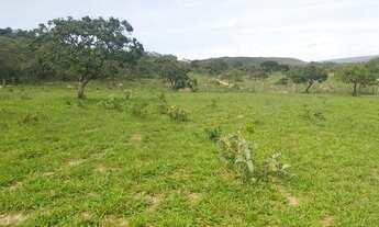 Imagem 3: Oportunidade! Vendo excelente fazenda com 78 hectares a 10 km Planaltina DF