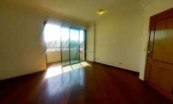 Imagem 2: Excelente Planta