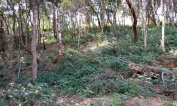 Imagem 7: Chácara à venda, 3.600 m² - Chácara Nova Essen - Campo Limpo Paulista/SP Venha aproveitar