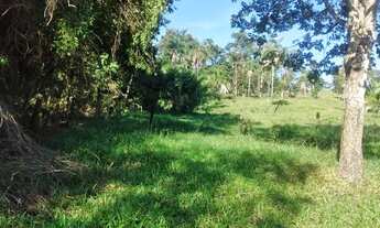 Imagem 3: Terra de 2 alqueire em professor Jamil