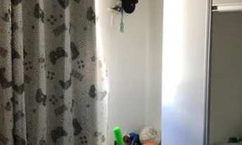 Imagem 4: Vendo Apartamento em Itapuã