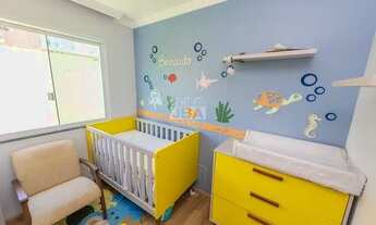 Imagem 9: CURITIBA - Padrão - Xaxim