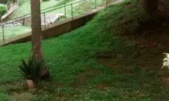 Imagem 6: PORTO ALEGRE - Apartamento Padrão - Santana