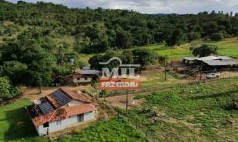 Imagem: Fazenda com 98 Alqueires (474,32 Há ) em