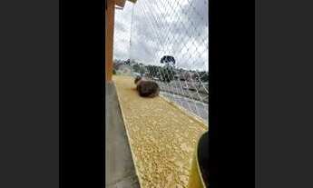 Imagem 5: Apartamento mobiliado 2 quartos