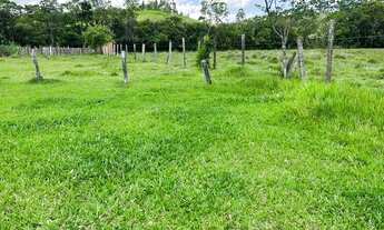 Imagem 6: LP - Vendo terreno com ruas abertas