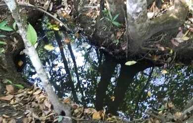 Imagem 6: Chácara em Itaberaí