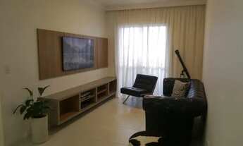 Imagem 6: PALHOçA - Padrão - Pagani