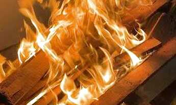 Imagem 6: Chácara mogi das cruzes Temporada