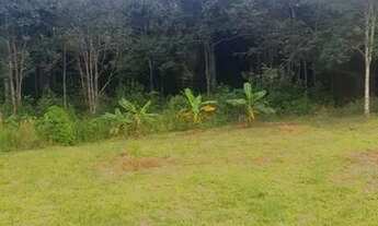 Imagem 4: Chácara em Itaberaí