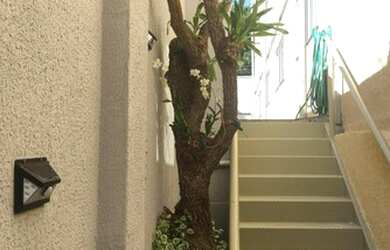 Imagem 4: Casa para aluguel com mobilia e contas inclusas Setor Sol Nascente - Goiânia - GO