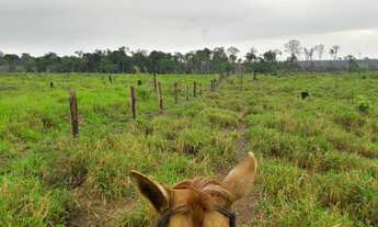 Imagem 5: Fazenda em Apuí Amazonas