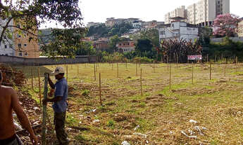 Imagem 3: TERRNO 3472m2 Parque independência 8 terrenos , 100% planos e com 40m de cumprimento