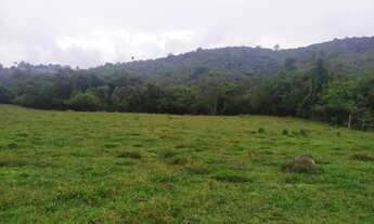 Imagem 6: Fazenda 36 hectares localizada no distrito de Azurita, na cidade de Mateus Leme