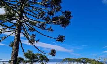 Imagem 3: Terreno/Fazenda/Chácara/lote/Francisco Krtiscka Corretor de imóveis