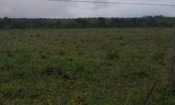 Imagem 2: Vendo excelente chácara de 16,2 hectares em Formosa próximo a BR 020