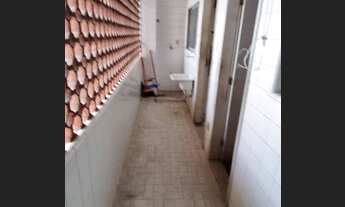 Imagem 3: Vendo apartamento, 4 quartos, Graça - Salvador - BA