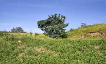 Imagem 5: São João da Boa Vista - Terreno Padrão - Loteamento Portal da Aliança