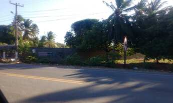 Imagem 5: Vendo terreno no peçem 34 por 44 de fundos