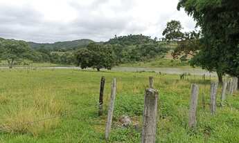 Imagem 2: Fazenda em Guaraita 50 alqueires