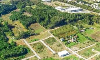 Imagem: CAXIAS DO SUL - Terreno Padrão - Monte