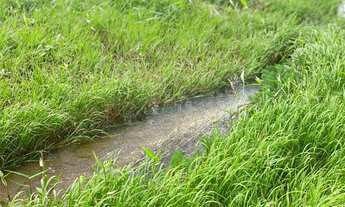 Imagem 3: Terreno Terreno / lote com venda por R$229.000