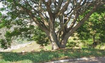 Imagem 6: Terreno com 1972 metros quadrados no Moinho do Vento - Valinhos - SP