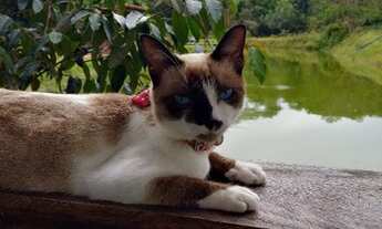 Imagem: Sítio meia hora de Belém