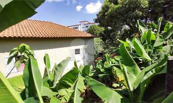 Imagem 3: São João da Boa Vista - Terreno Padrão - Jardim Satélite