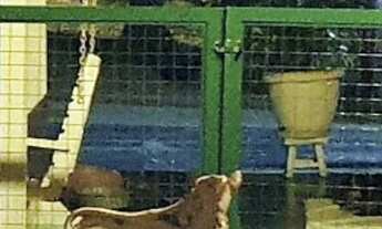 Imagem 6: Linda chácara DF 140 próximo ao Alphaville